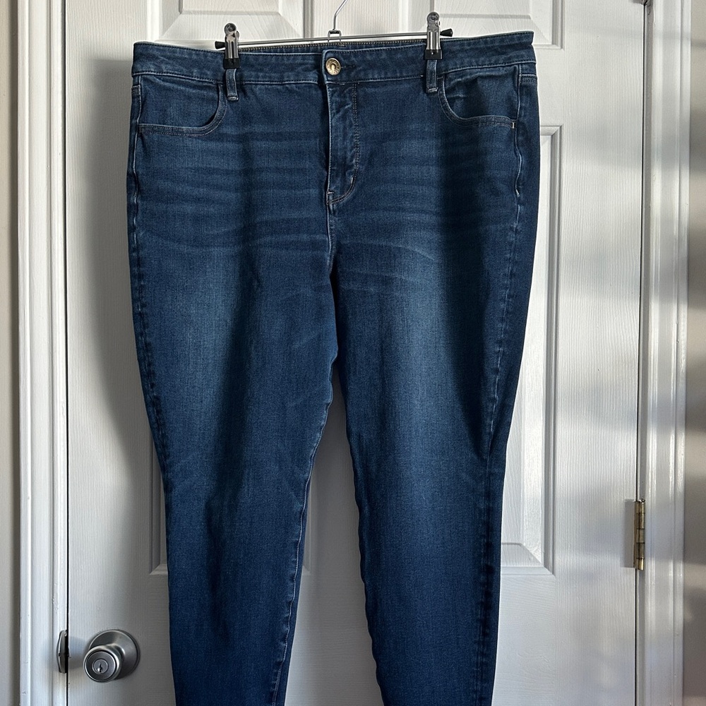 American Eagle Outfitters Dark Blue Skinny Jeans - 20 SHORT